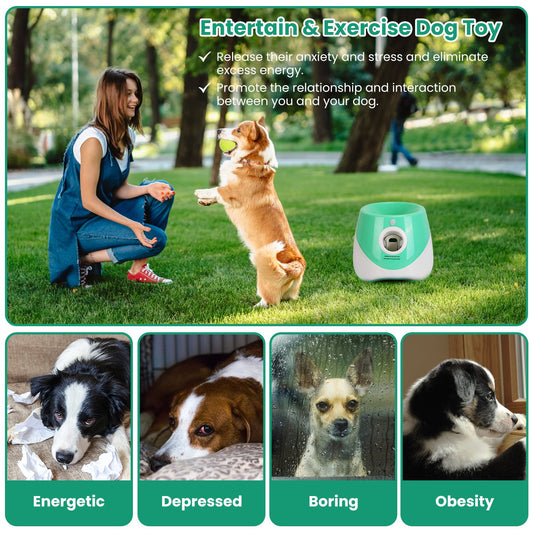 FetchBot Automatic Dog Ball Launcher — Endless Fetch, Even When You're Busy