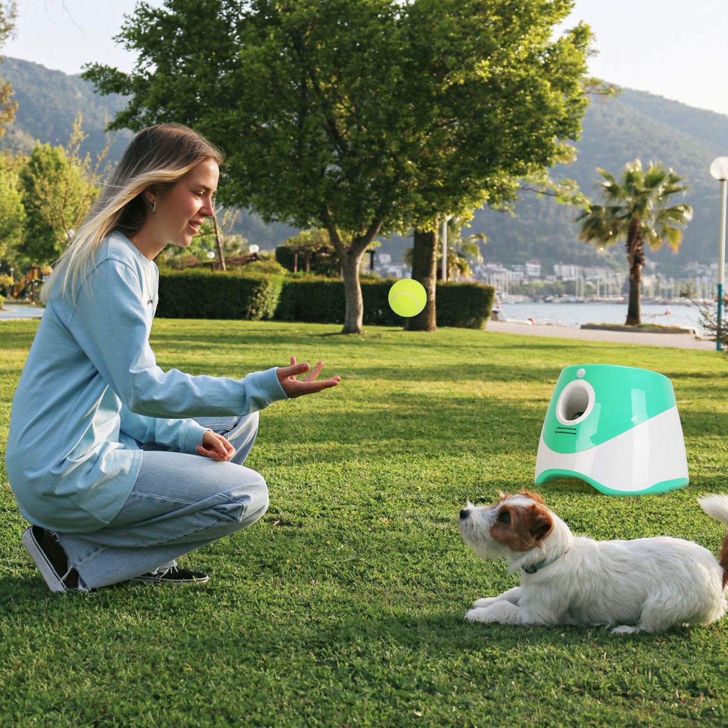 FetchBot Automatic Dog Ball Launcher — Endless Fetch, Even When You're Busy